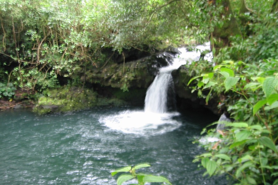 ../image/waterfall off nahiku road.jpg